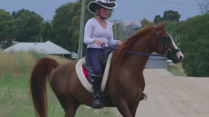 Horse Riding Helmet Brim