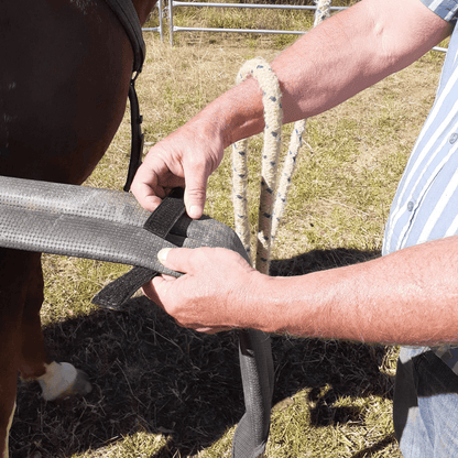 adjustable girth loop attaching to the girth